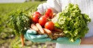 Farming & Fresh Food Services