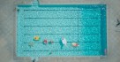 Swimming Pool Accessories