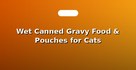 Wet Canned Gravy Food & Pouches for Cats